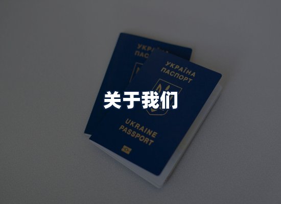 关于我们